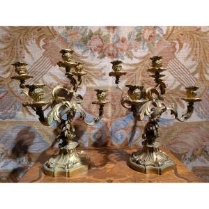 Paire de candélabres en bronze doré – Style Louis XV / Rocaille