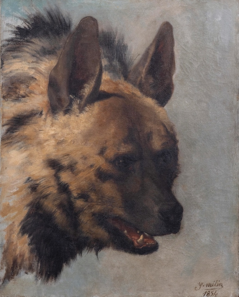 Joseph Mélin (1814–1886) - Hyena Head - Oil-photo-2