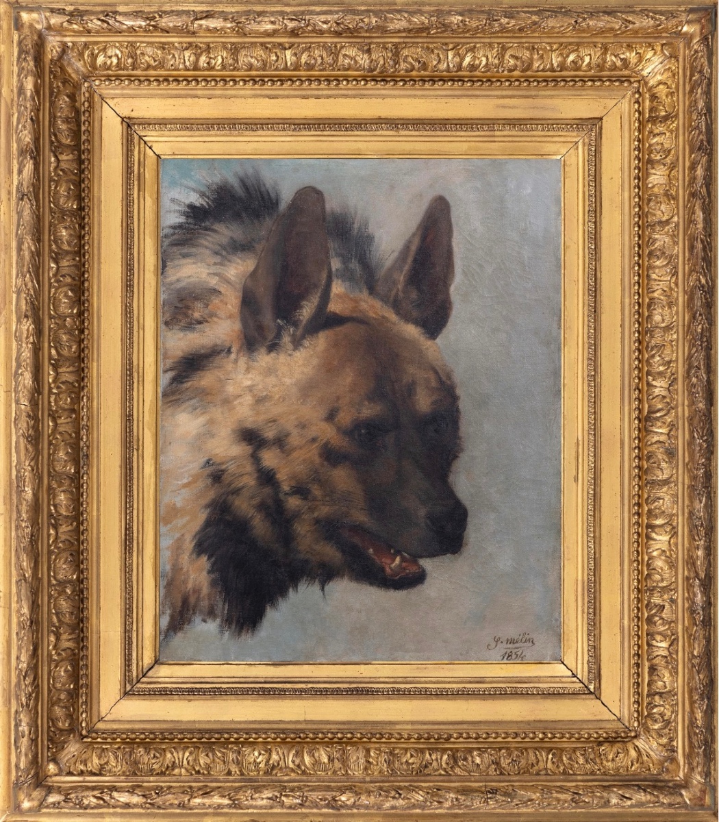 Joseph Mélin (1814–1886) - Hyena Head - Oil