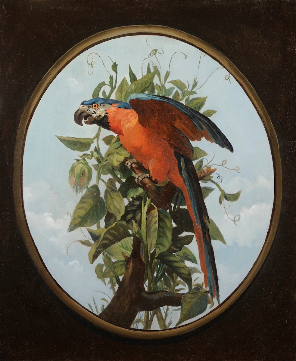 19th-century French School, Follower Of Oudry - Blue Macaw On A Branch - Oil On Canvas-photo-2