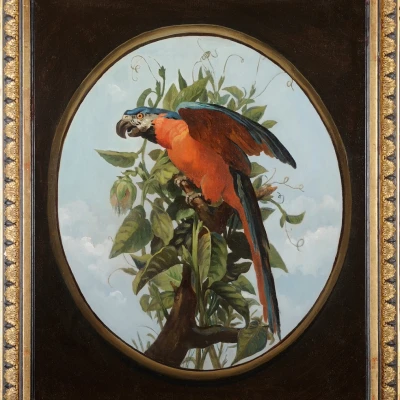 Premiere-Image-1842299