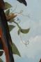 1842299-alb-6ad88b0ad3dd2.jpg