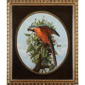 19th-century French School, Follower Of Oudry - Blue Macaw On A Branch - Oil On Canvas