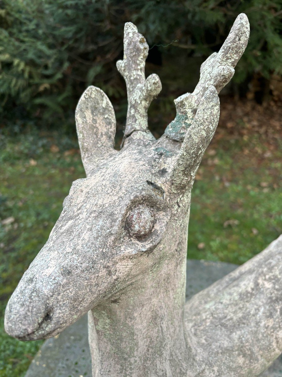 Sculpture Ancienne De Chevreuil En Ciment Patiné, 20e Siècle-photo-4