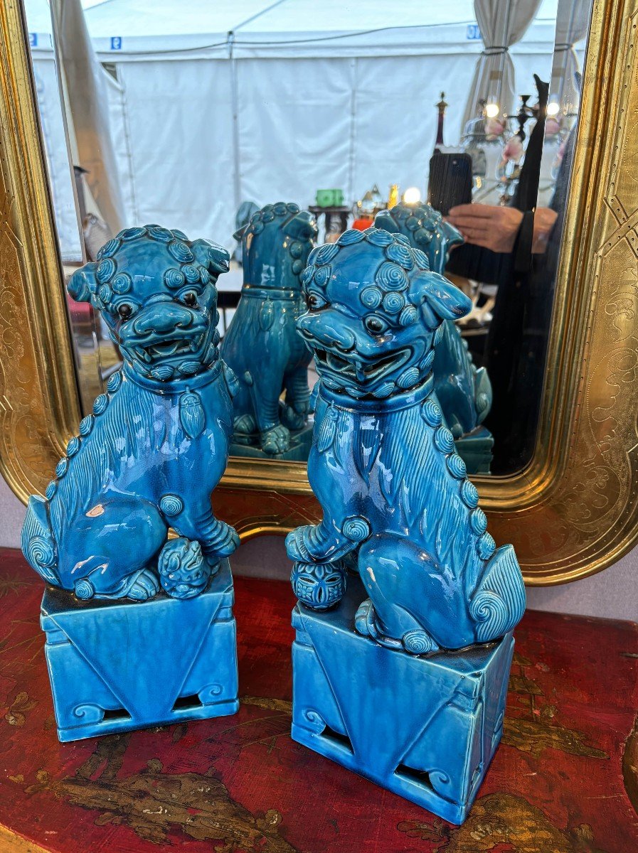 Pair Of Foo Dogs With Turquoise Glaze, China, 20th Century-photo-2