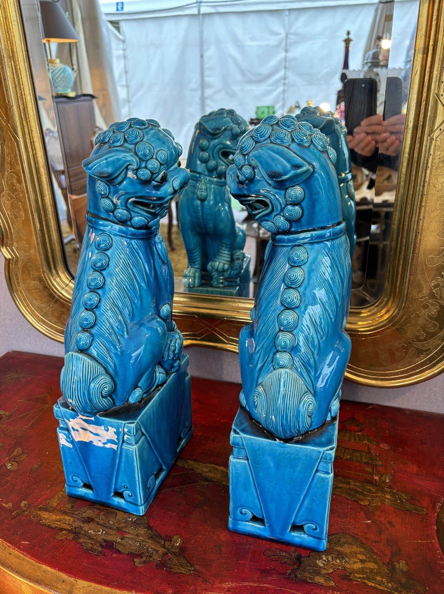 Pair Of Foo Dogs With Turquoise Glaze, China, 20th Century-photo-4