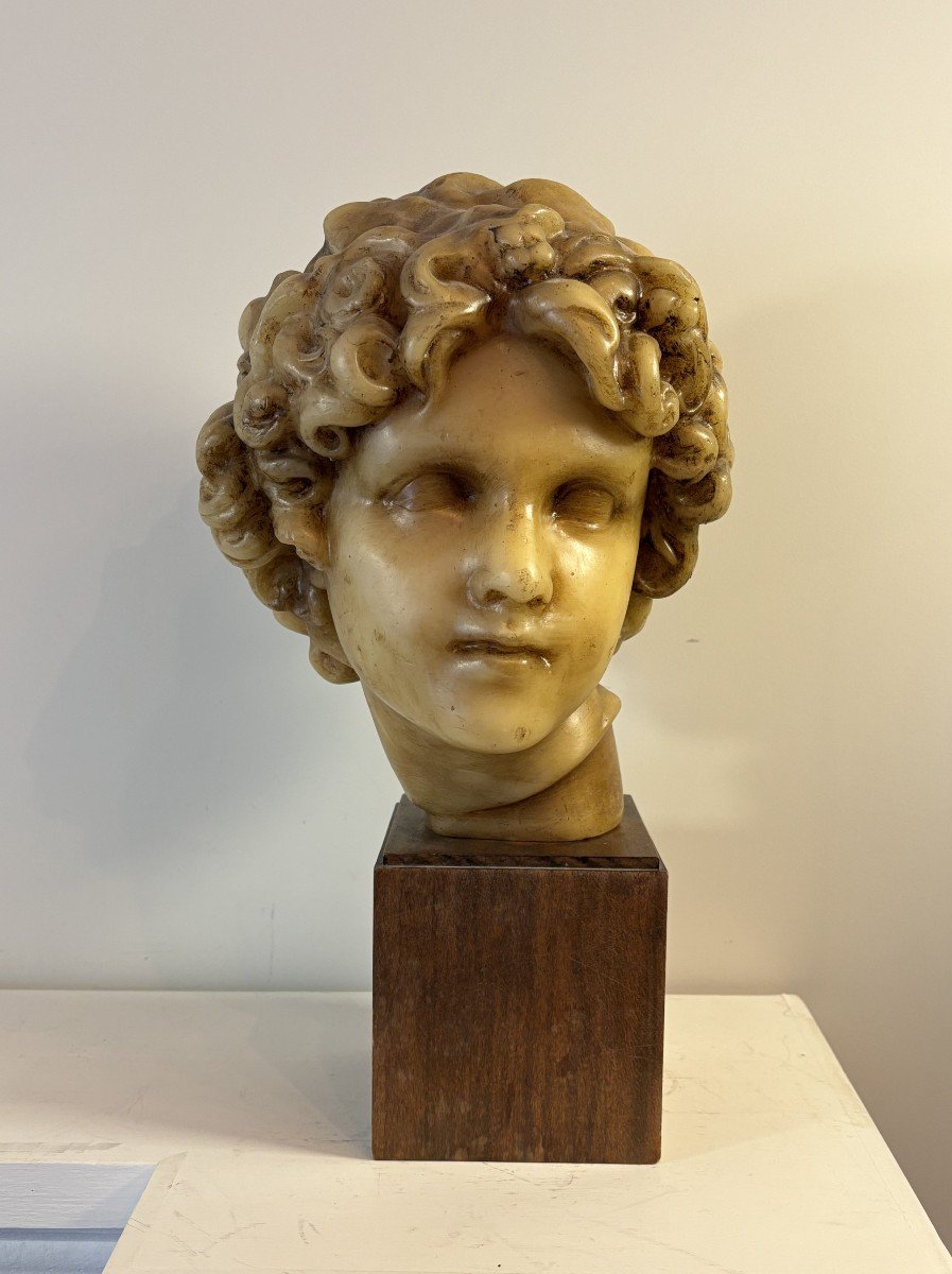 Head Of Ephebe, After The Antique, Wax Proof, Signature At The Base, 20th