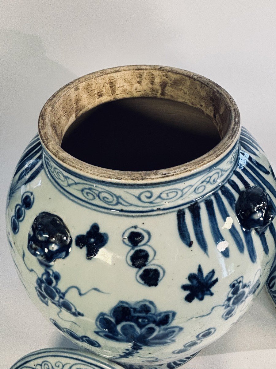 Imposing Pair Of Chinese Blue-white Porcelain Jars, 20th Century-photo-5