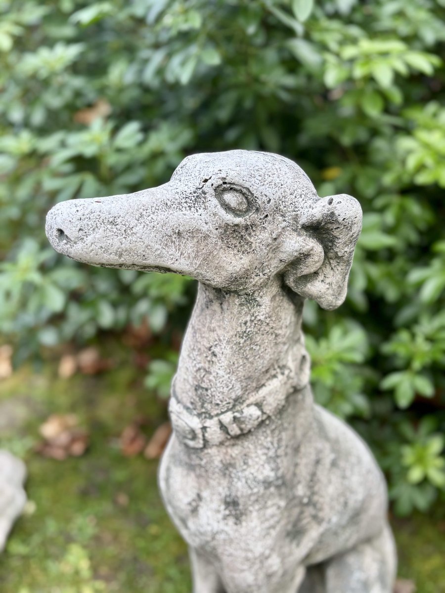 Paire de lévriers assis en pierre reconstituée - Décor de jardin - Portugal, XXe siècle-photo-2