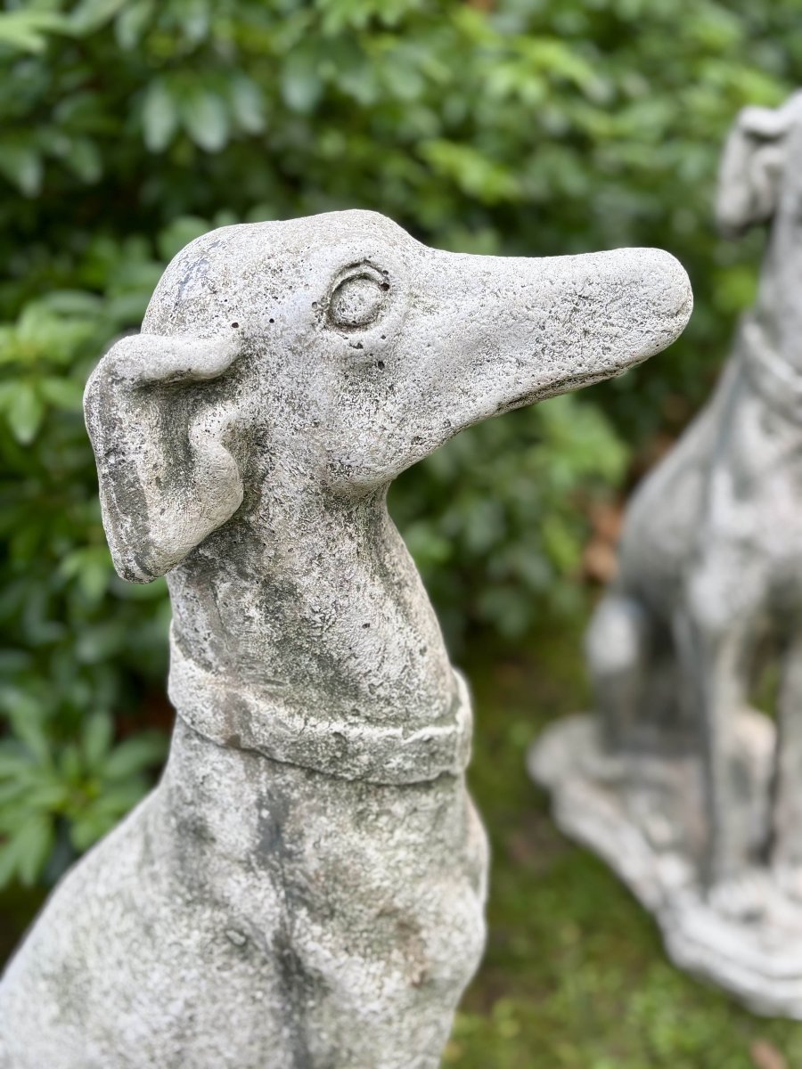 Paire de lévriers assis en pierre reconstituée - Décor de jardin - Portugal, XXe siècle-photo-3