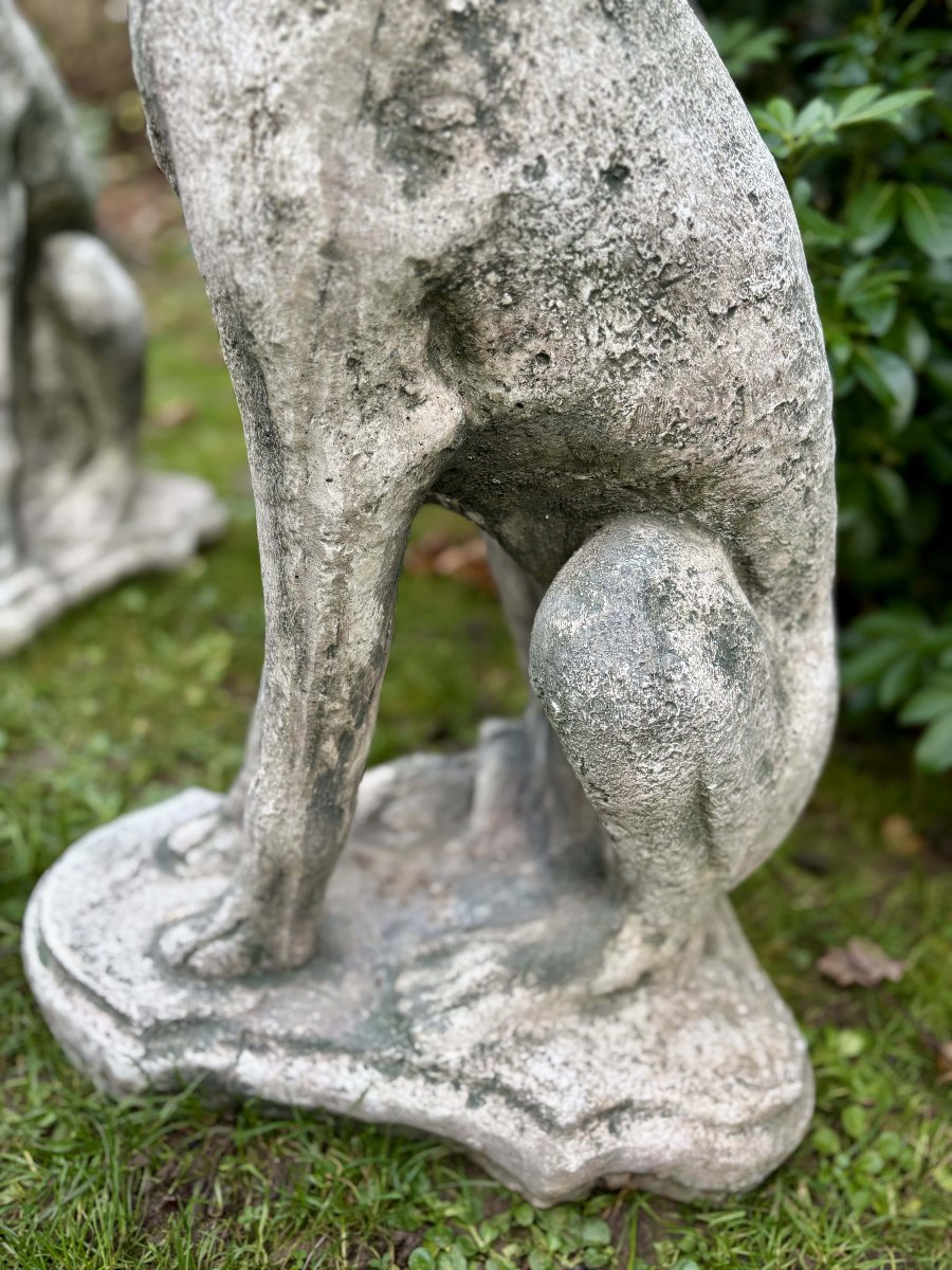 Paire de lévriers assis en pierre reconstituée - Décor de jardin - Portugal, XXe siècle-photo-4