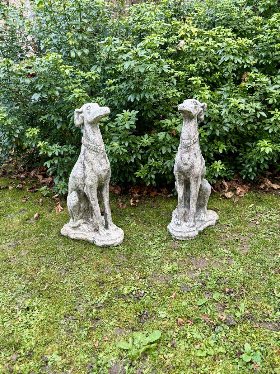 Paire de lévriers assis en pierre reconstituée - Décor de jardin - Portugal, XXe siècle-photo-1