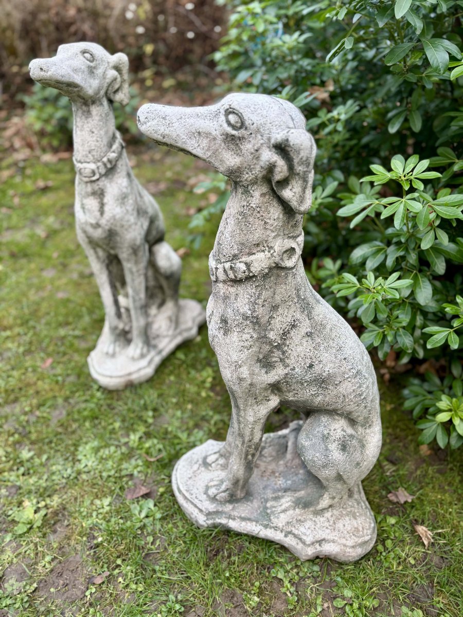 Paire de lévriers assis en pierre reconstituée - Décor de jardin - Portugal, XXe siècle-photo-3