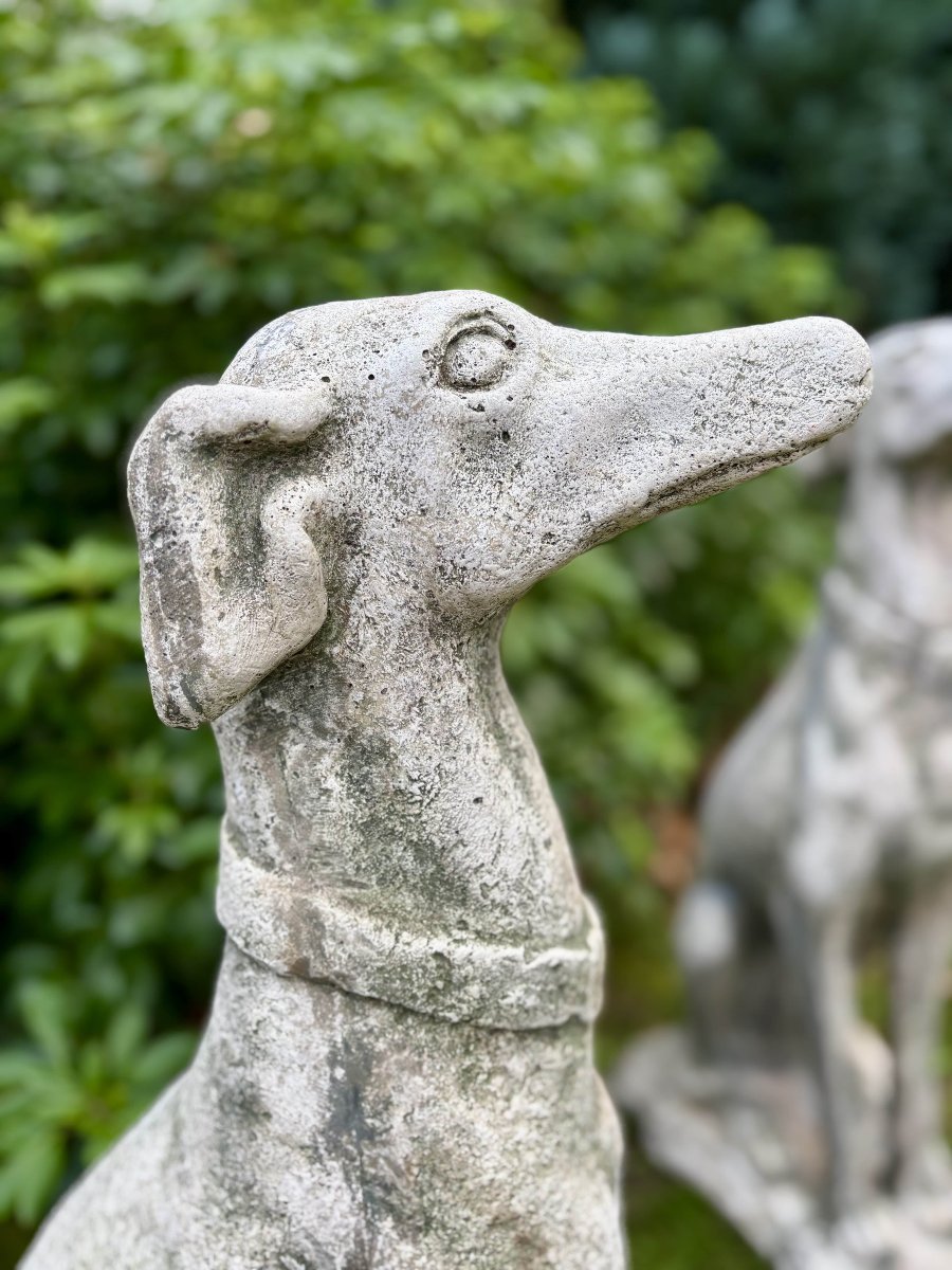 Paire de lévriers assis en pierre reconstituée - Décor de jardin - Portugal, XXe siècle-photo-4