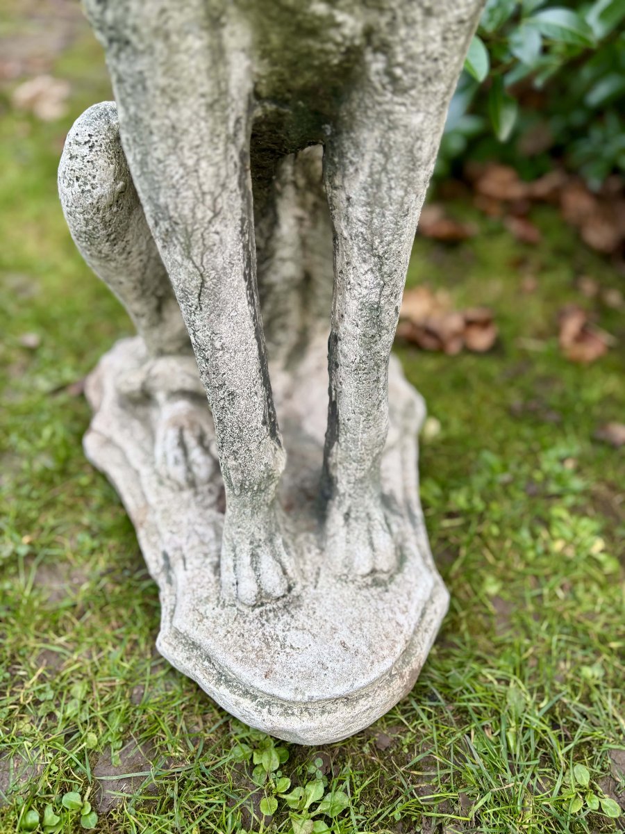 Paire de lévriers assis en pierre reconstituée - Décor de jardin - Portugal, XXe siècle-photo-5