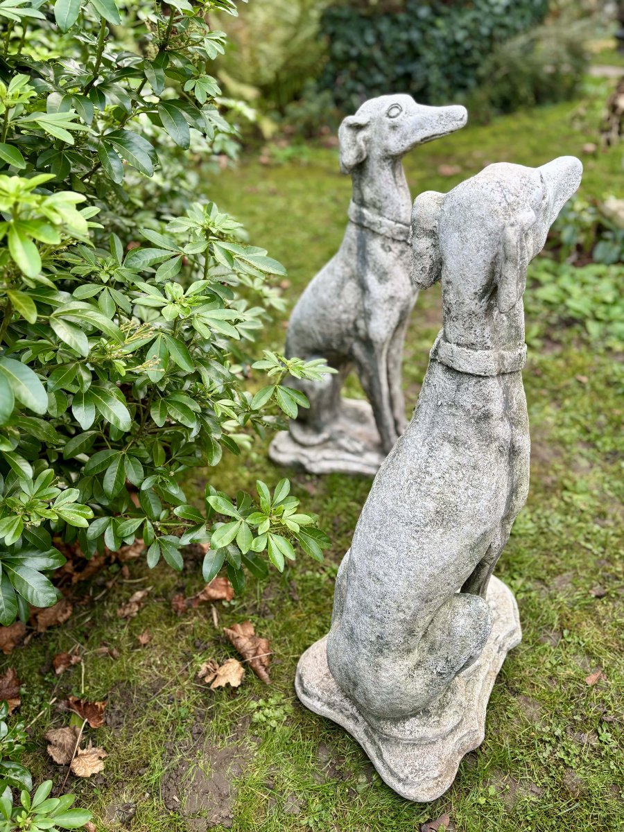 Paire de lévriers assis en pierre reconstituée - Décor de jardin - Portugal, XXe siècle-photo-7