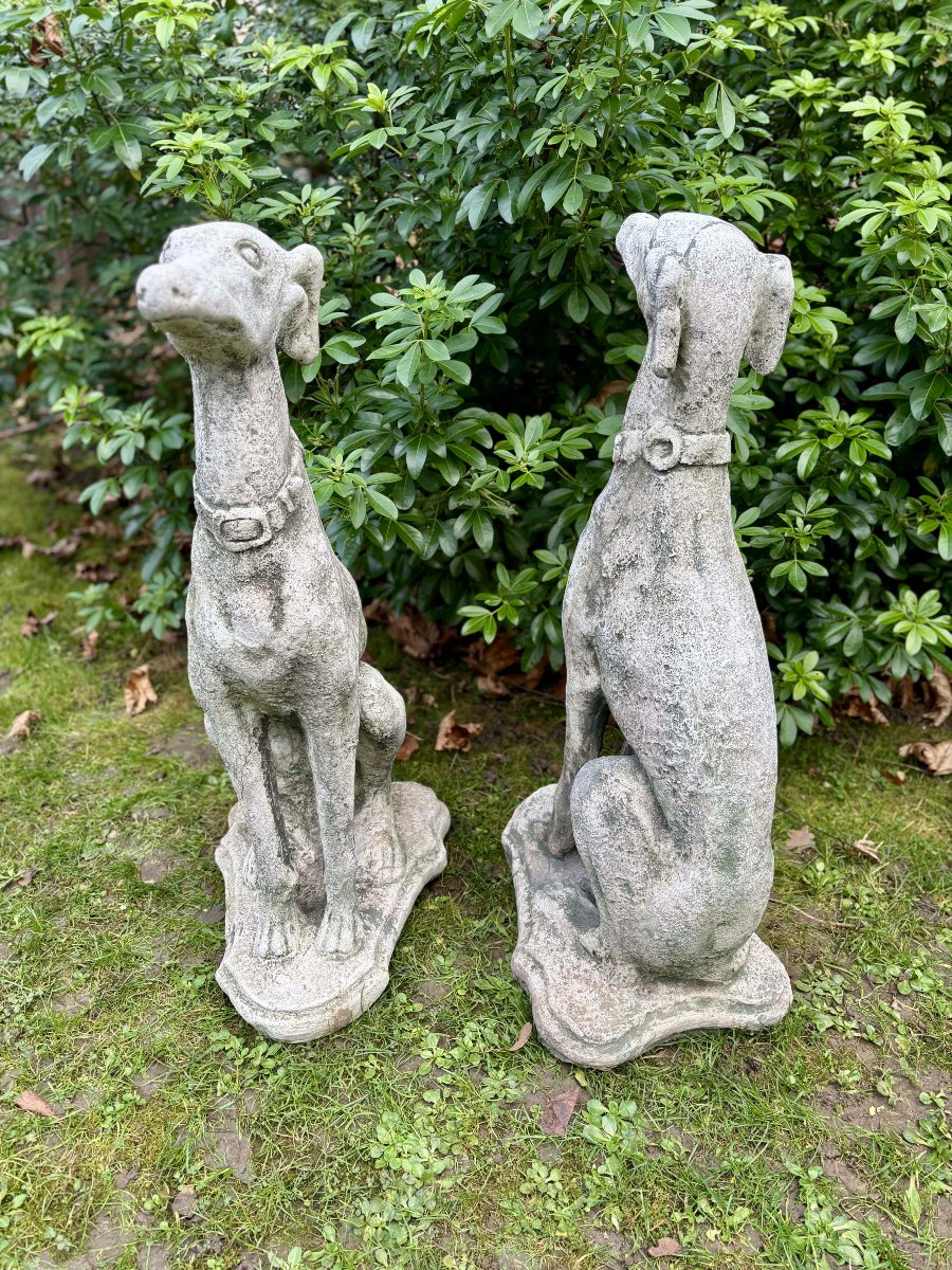 Paire de lévriers assis en pierre reconstituée - Décor de jardin - Portugal, XXe siècle-photo-8