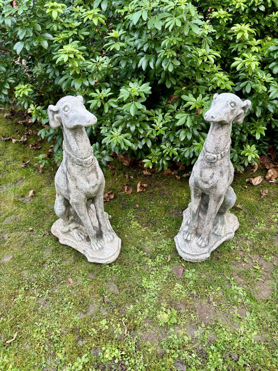 Paire de lévriers assis en pierre reconstituée - Décor de jardin - Portugal, XXe siècle