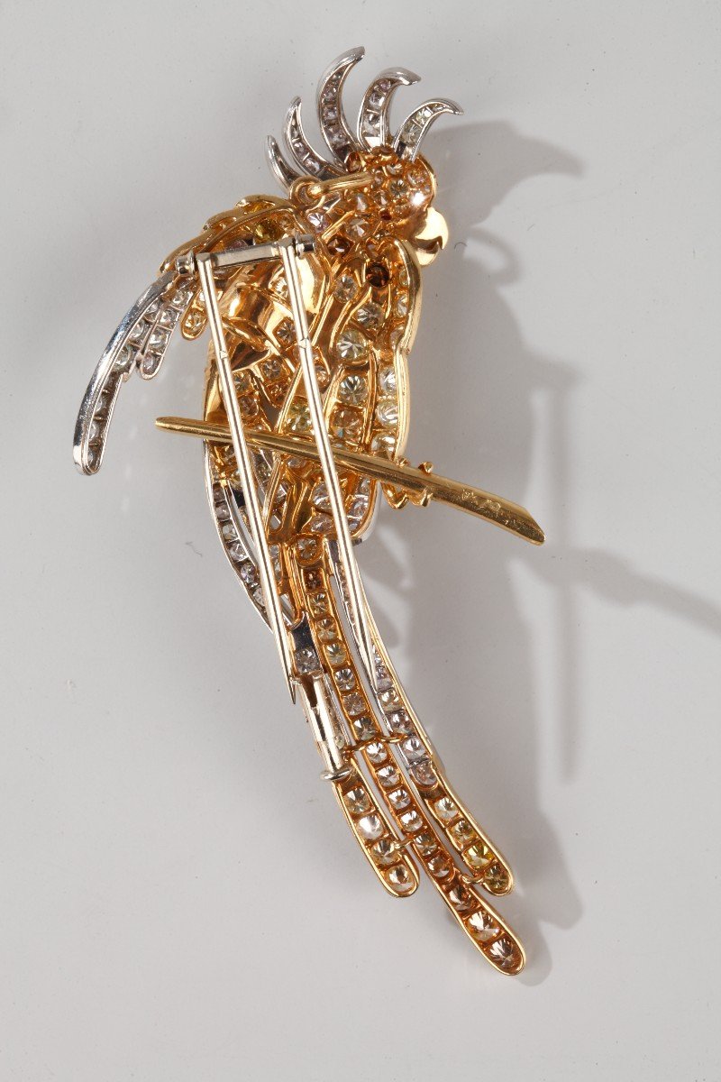 Broche perroquet en strass - eden perles