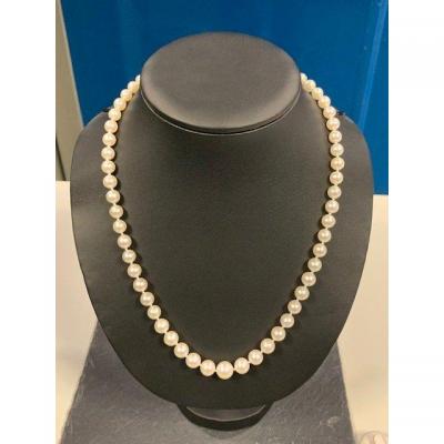 Cultured Pearl Necklace