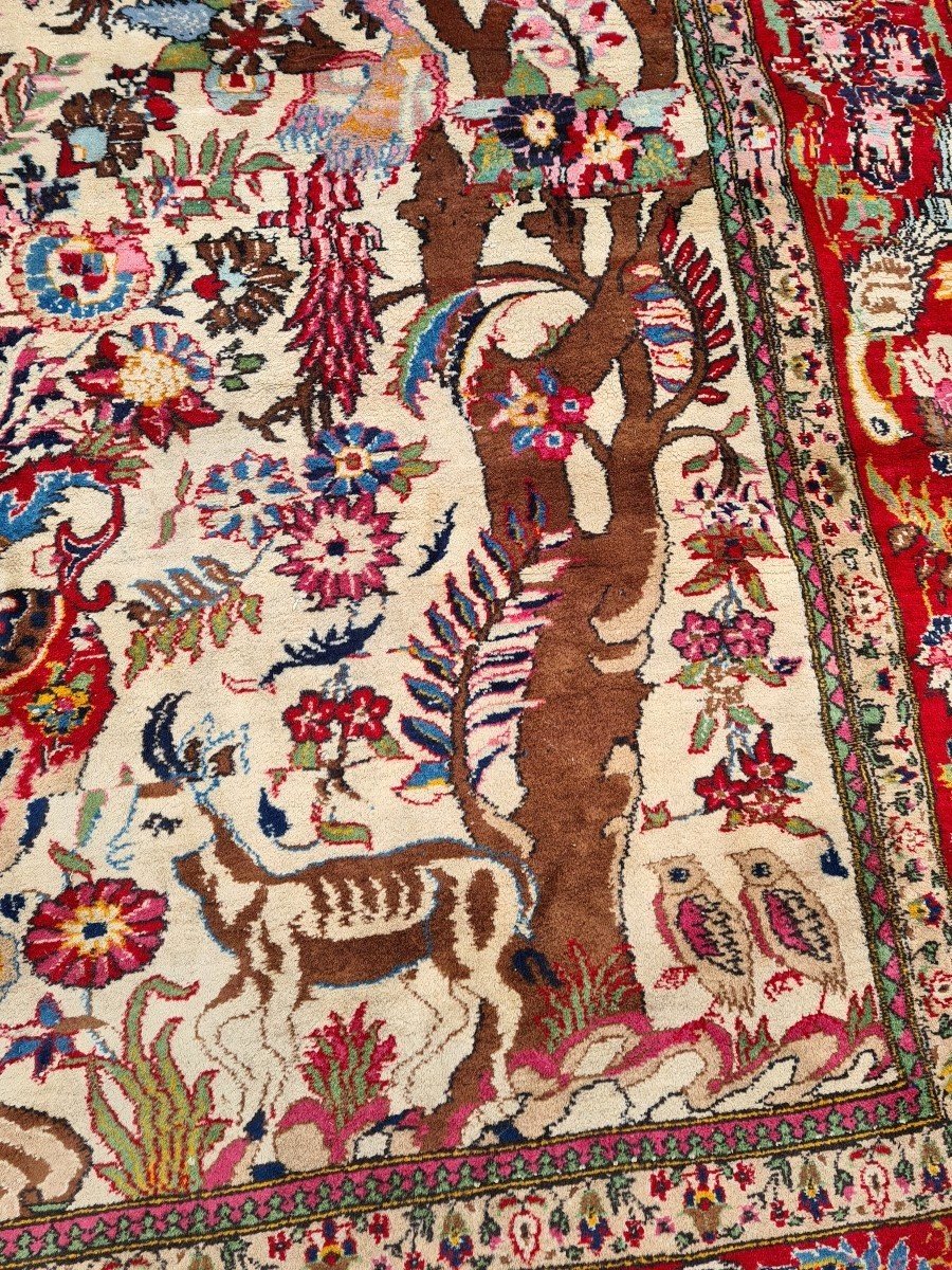 Extremely Rare Bidjar Rug Made In Wool, Circa 1930, Shah Period.-photo-3