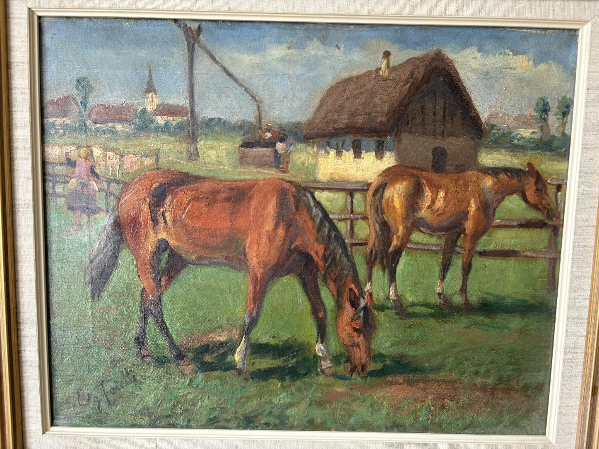 Chevaux Dans Un Clos-photo-3