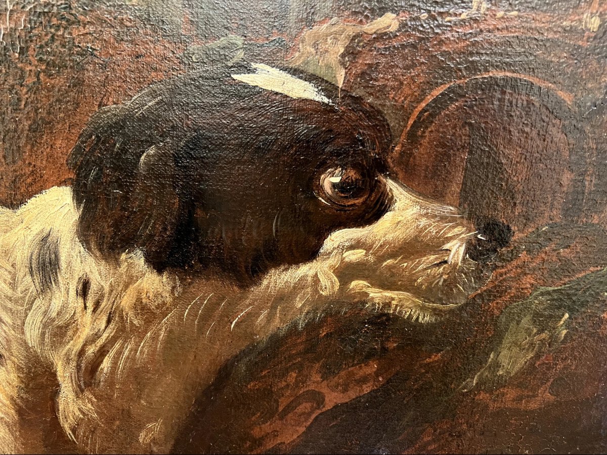 Scène Pastorale, Huile Sur Toile, Par Phillip Peter Roos Dit Rosa Da Tivoli, Italie, Vers 1680-photo-4