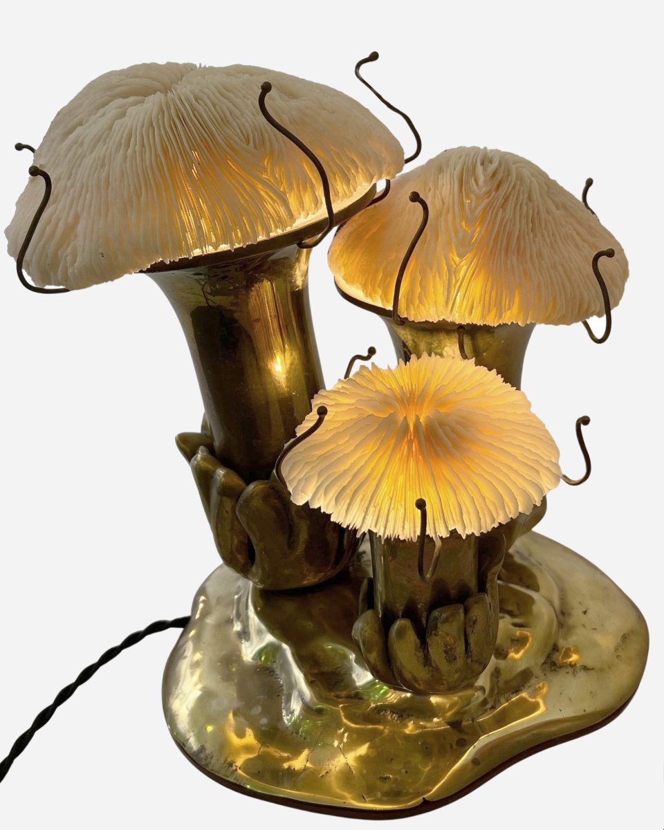 Lampe « Champignons », Par Jacques Duval-brasseur, Paris, France, Vers 1970-photo-2