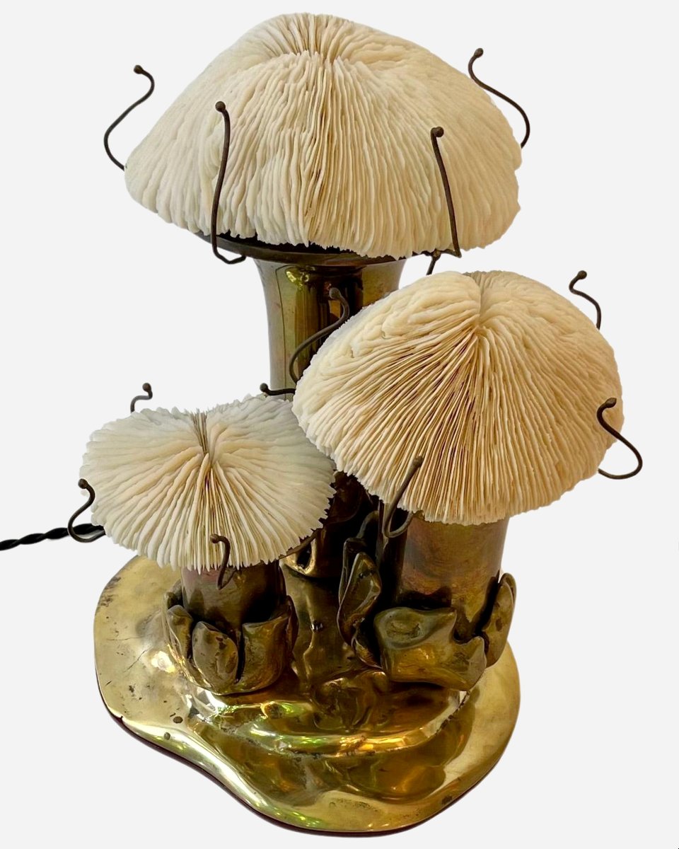 Lampe « Champignons », Par Jacques Duval-brasseur, Paris, France, Vers 1970-photo-3
