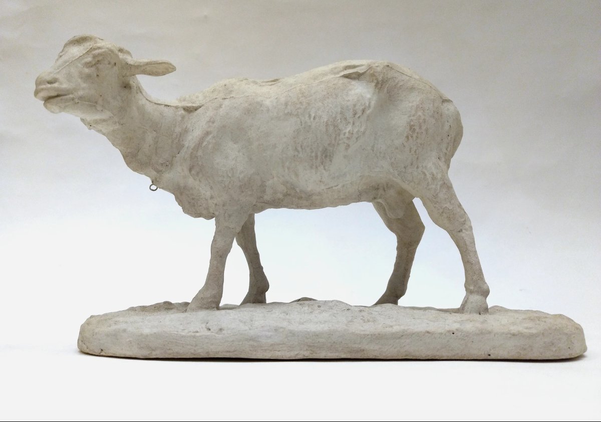 "standing Sheep", Studio Plaster, By Pierre-jules Mêne, France, Circa 1864-photo-3