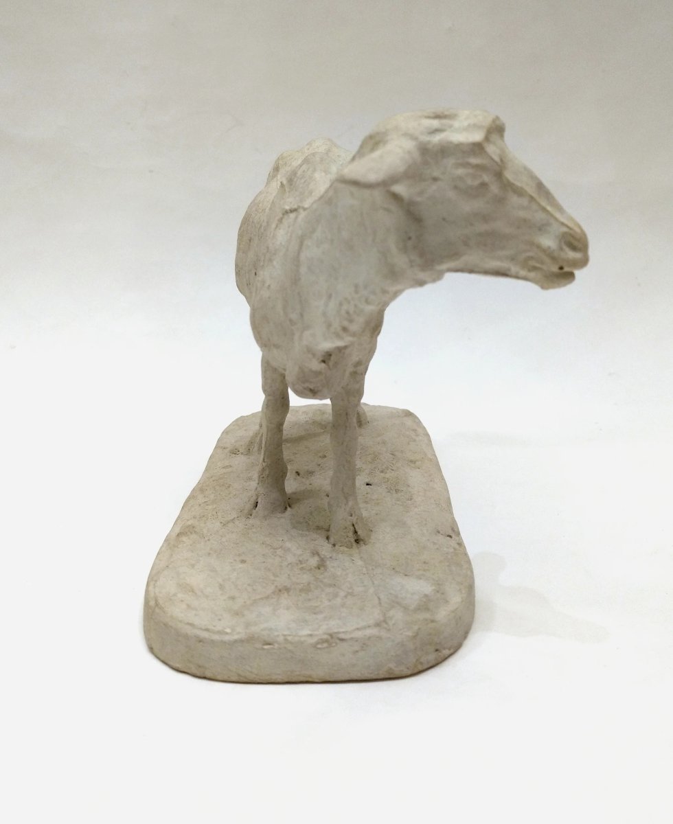 "standing Sheep", Studio Plaster, By Pierre-jules Mêne, France, Circa 1864-photo-4