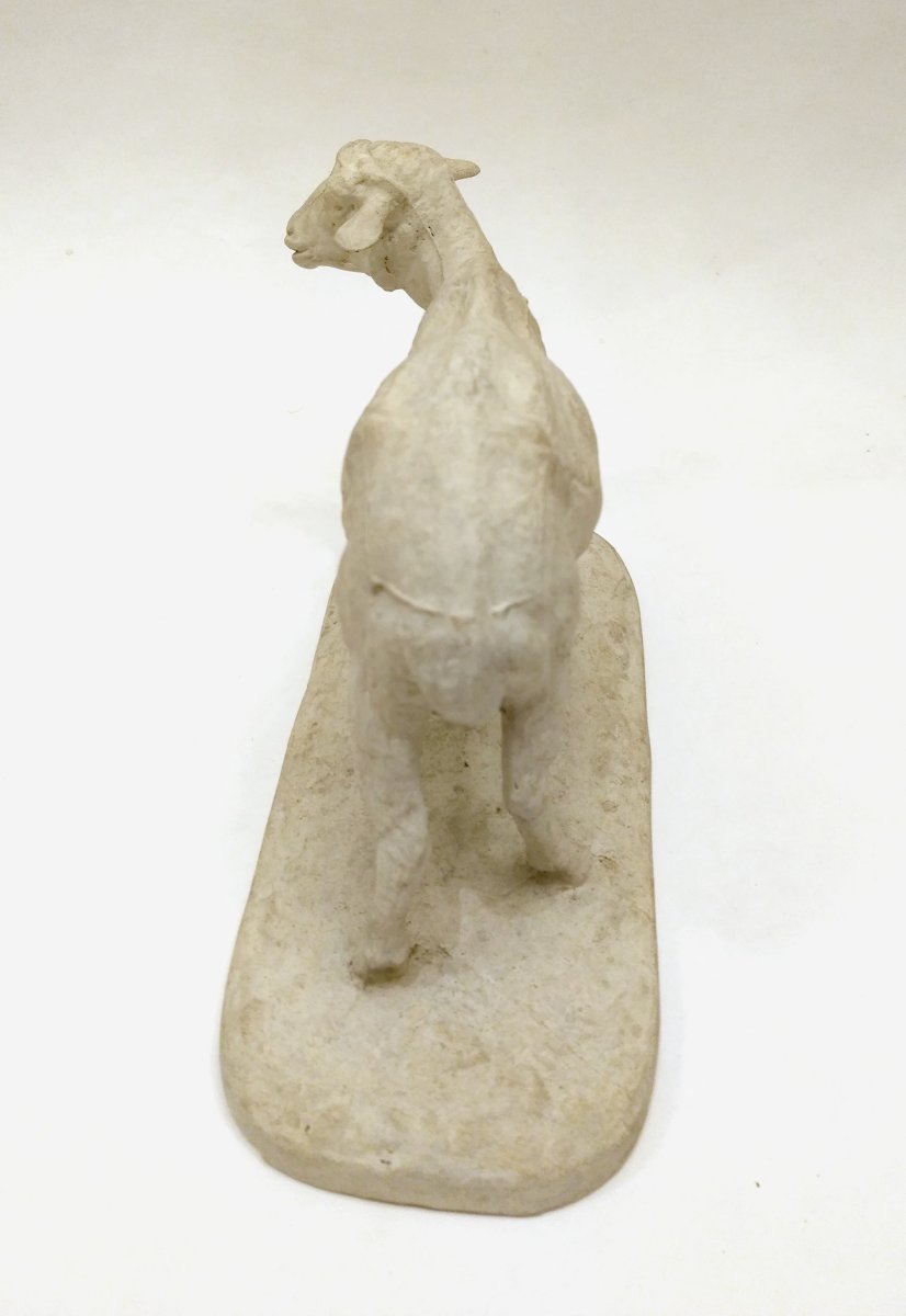 "standing Sheep", Studio Plaster, By Pierre-jules Mêne, France, Circa 1864-photo-2