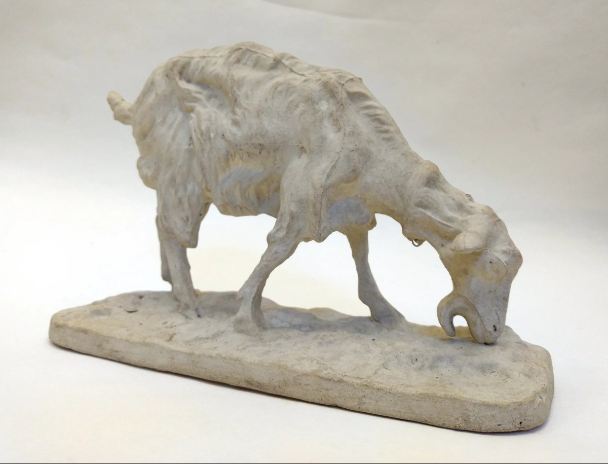 "grazing Goat", Studio Plaster Cast, By Pierre-jules Mêne, Paris, France, Circa 1844-photo-4