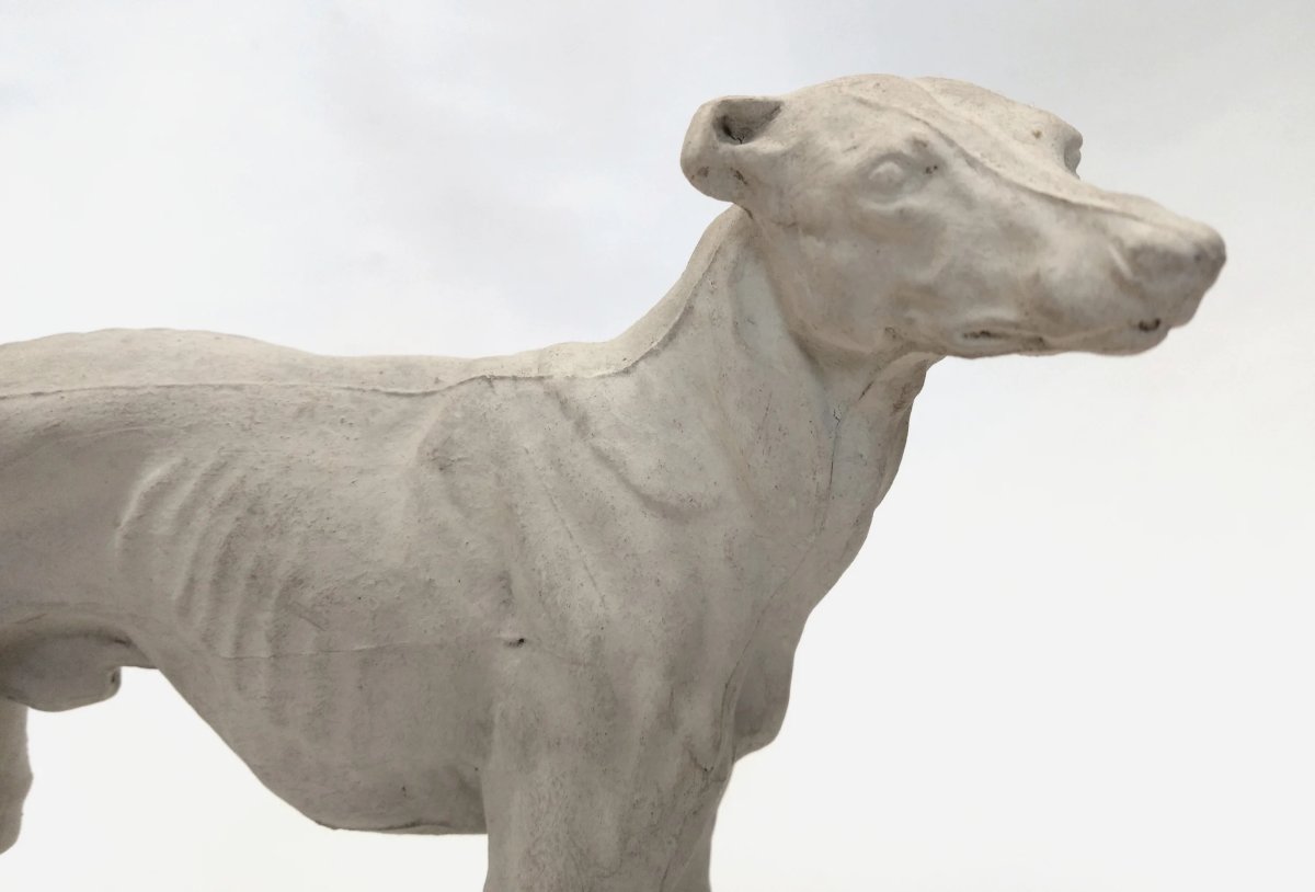 Workshop Plaster Of A Greyhound, By Pierre-jules Mêne, France, Circa 1850-photo-2