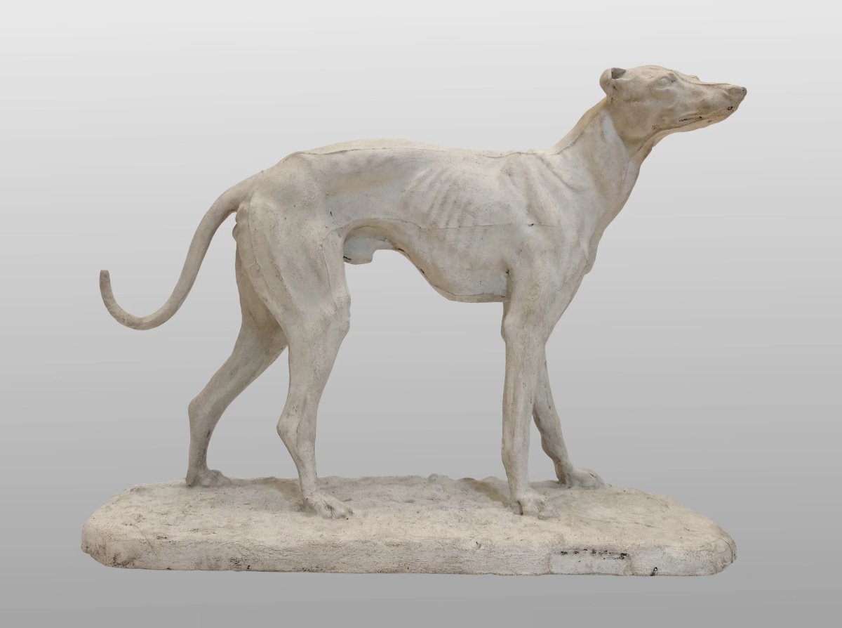 Workshop Plaster Of A Greyhound, By Pierre-jules Mêne, France, Circa 1850-photo-3