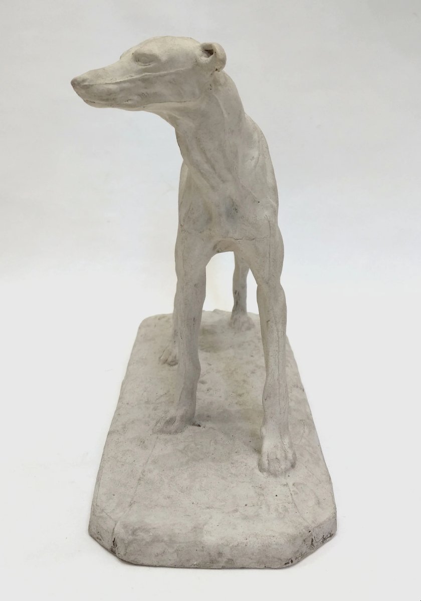 Workshop Plaster Of A Greyhound, By Pierre-jules Mêne, France, Circa 1850-photo-4