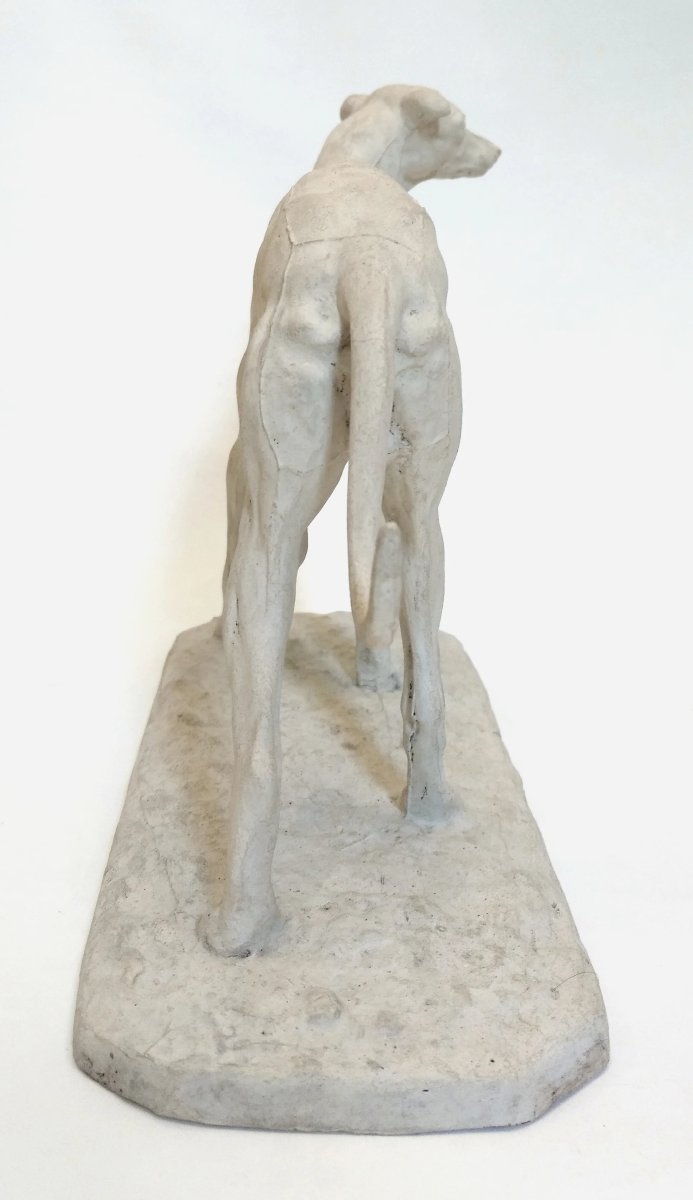Workshop Plaster Of A Greyhound, By Pierre-jules Mêne, France, Circa 1850-photo-2