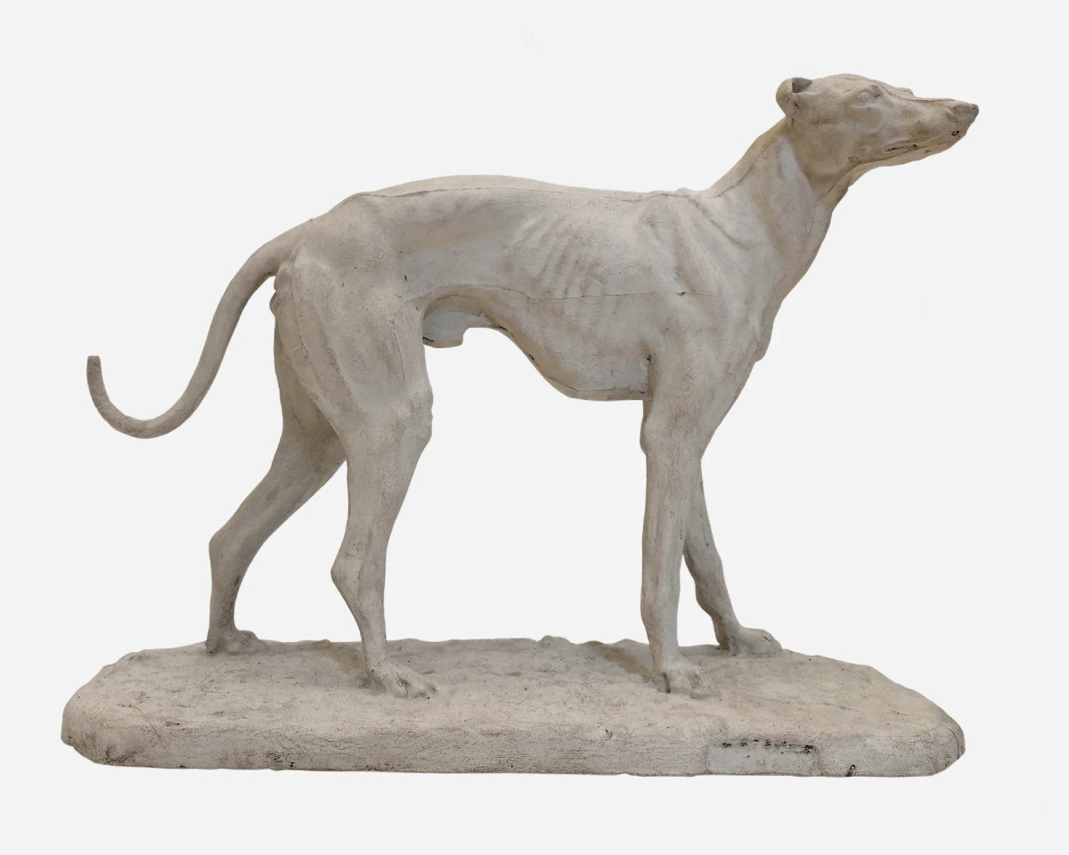 Workshop Plaster Of A Greyhound, By Pierre-jules Mêne, France, Circa 1850