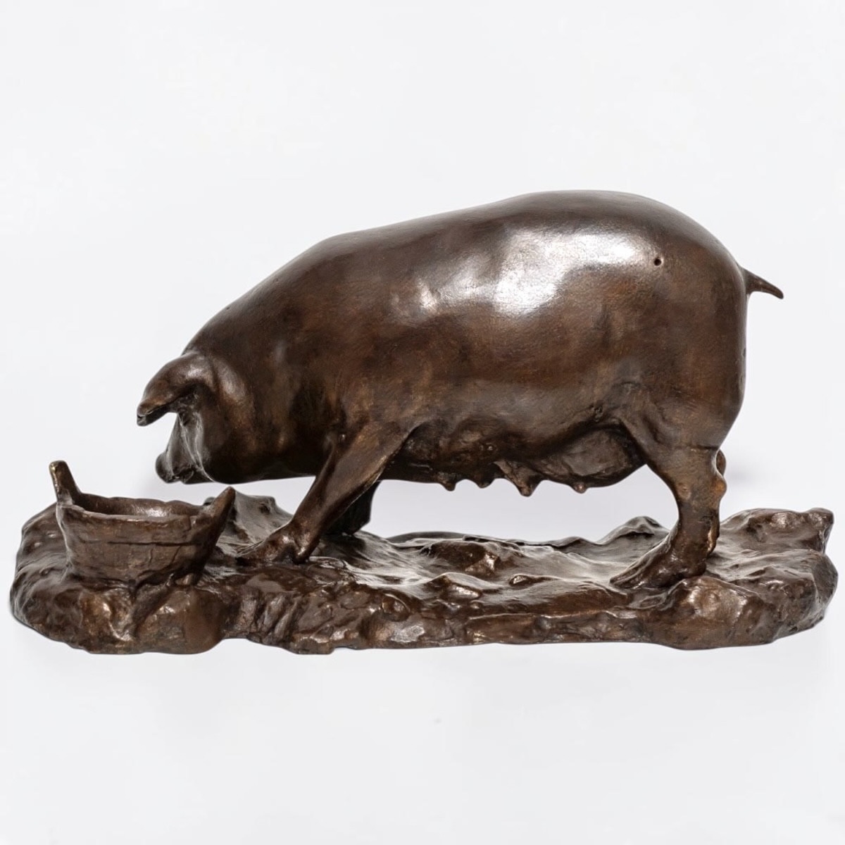 Sculpture - Sow , Tommaso Campaiola - Bronze -photo-3