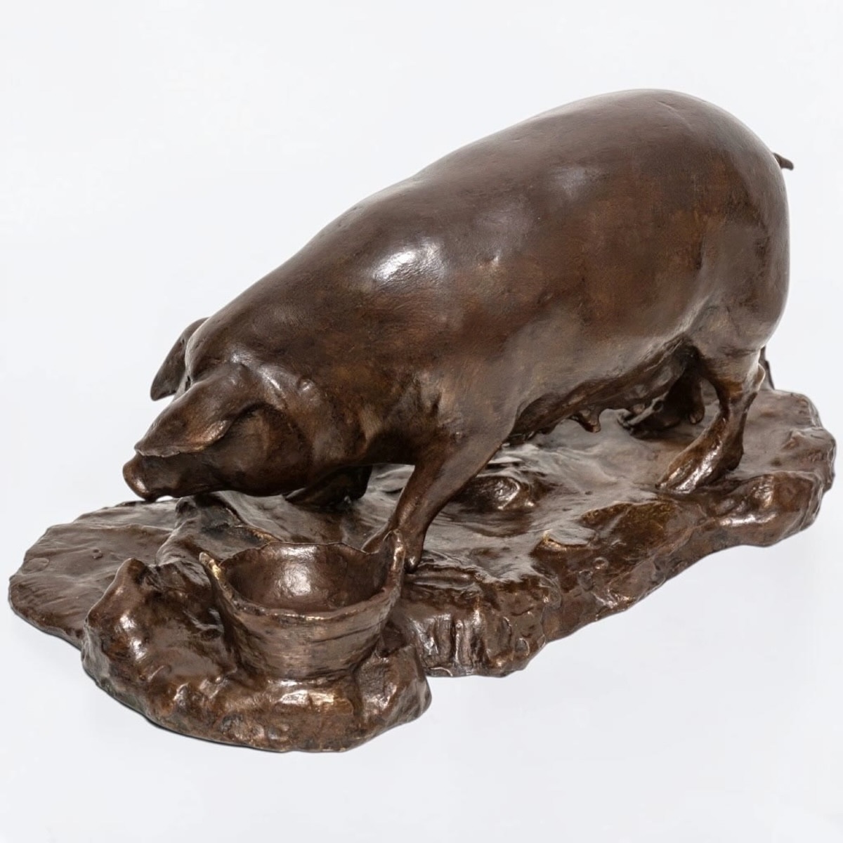 Sculpture - Sow , Tommaso Campaiola - Bronze -photo-4