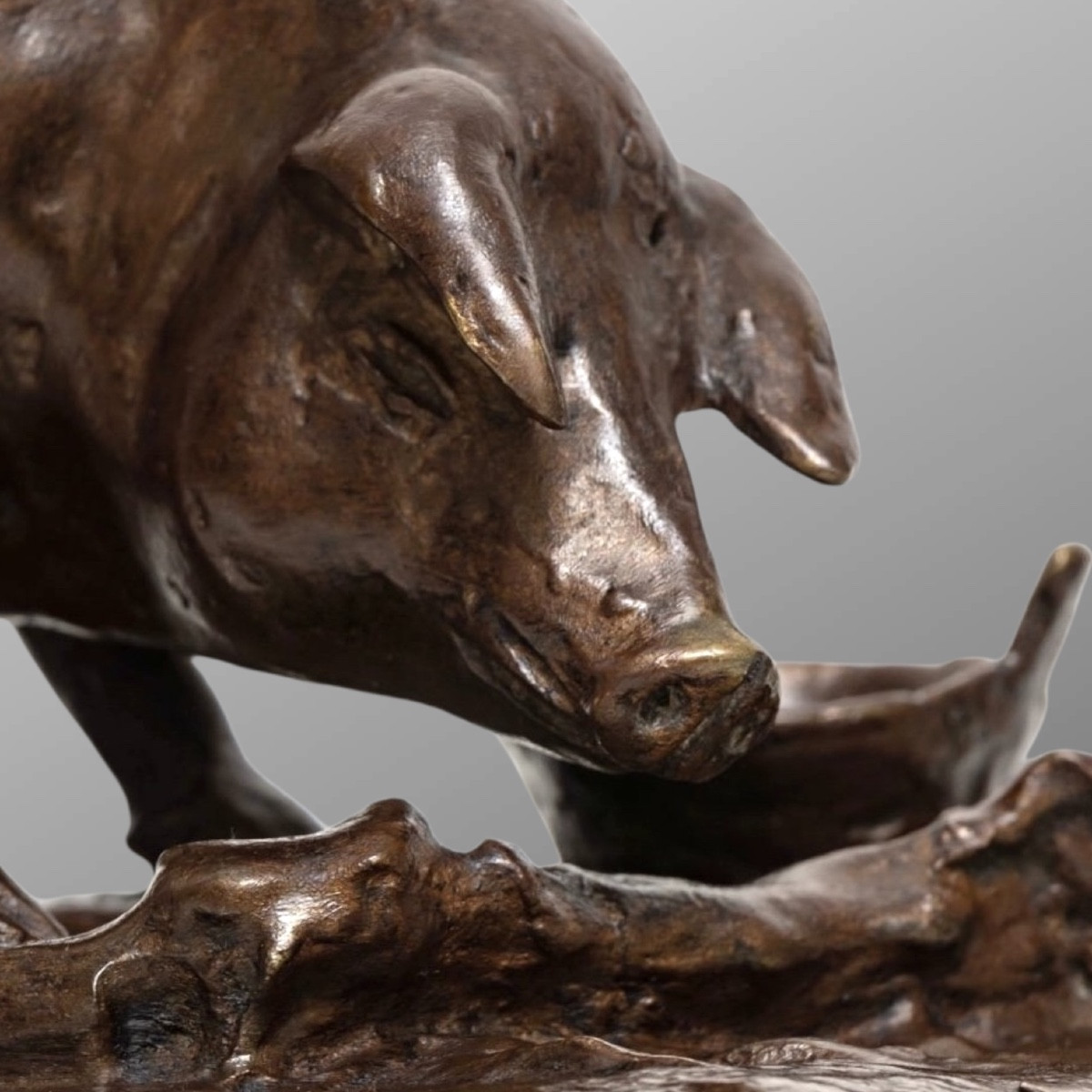 Sculpture - Sow , Tommaso Campaiola - Bronze -photo-1