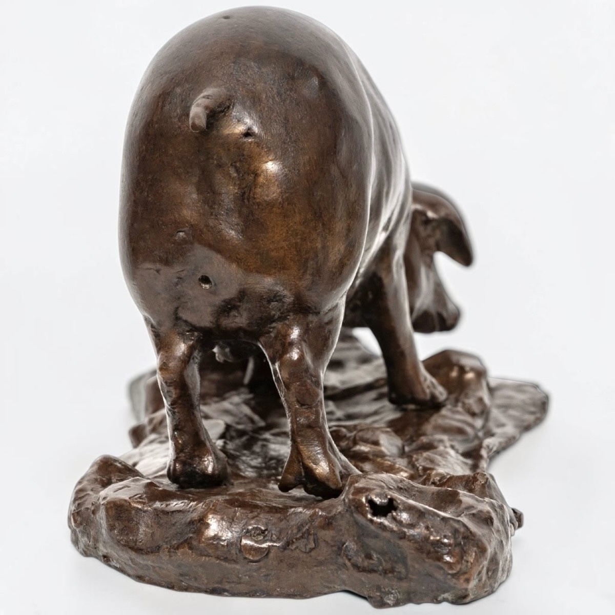 Sculpture - Sow , Tommaso Campaiola - Bronze -photo-2