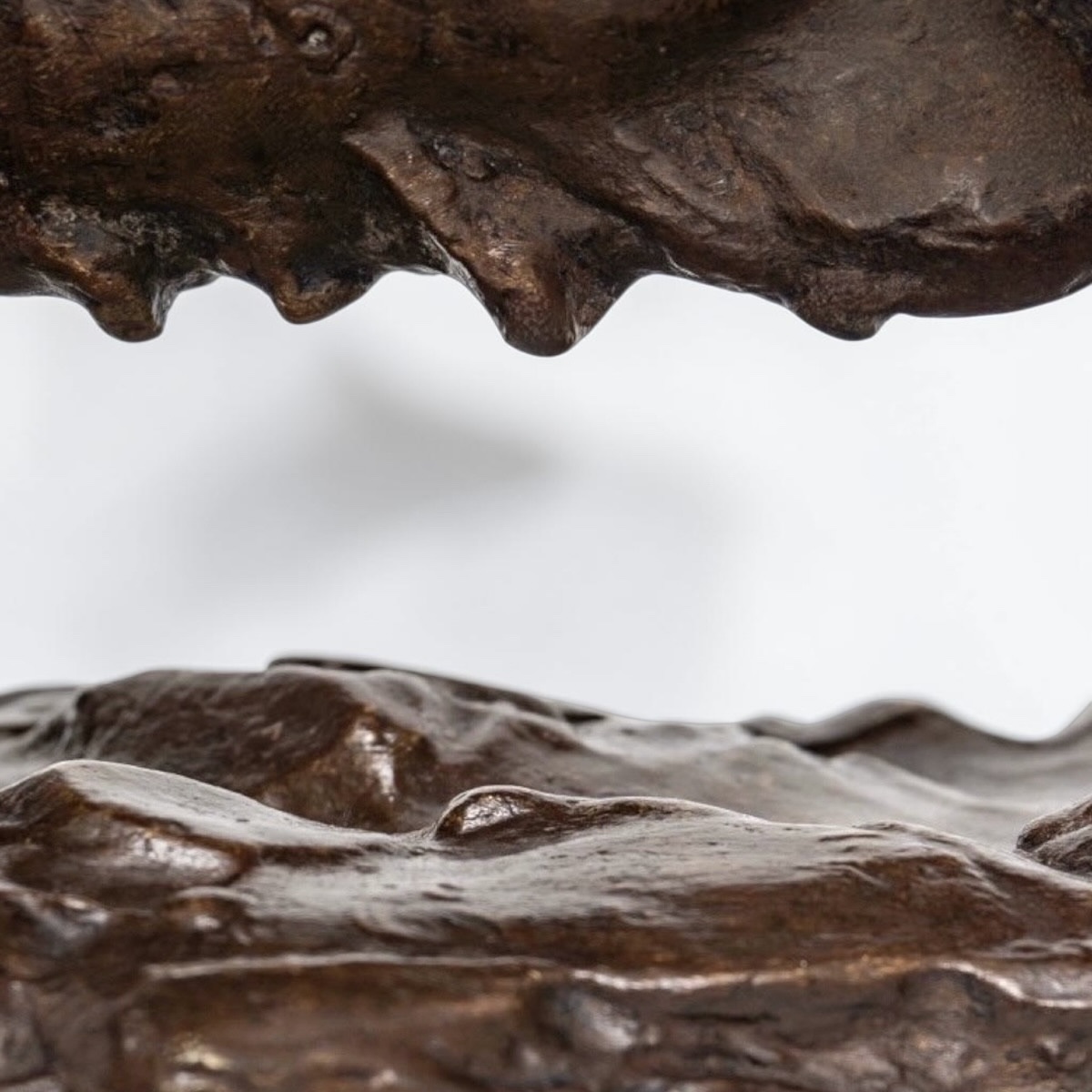 Sculpture - Sow , Tommaso Campaiola - Bronze -photo-3