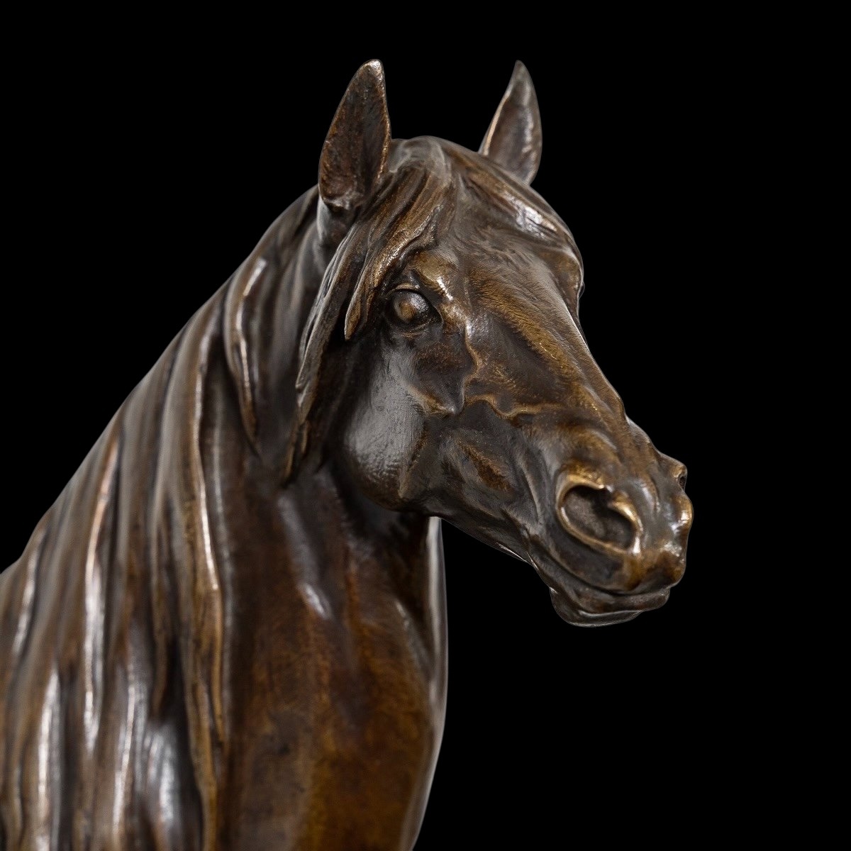 Sculpture  - Cheval "Beaux - arts 1879" , Prosper Lecourtier (1851-1924) - Bronze-photo-3