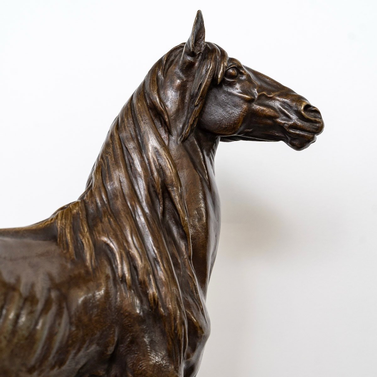 Sculpture - Horse "beaux - Arts 1879" , Prosper Lecourtier (1851-1924) - Bronze-photo-2