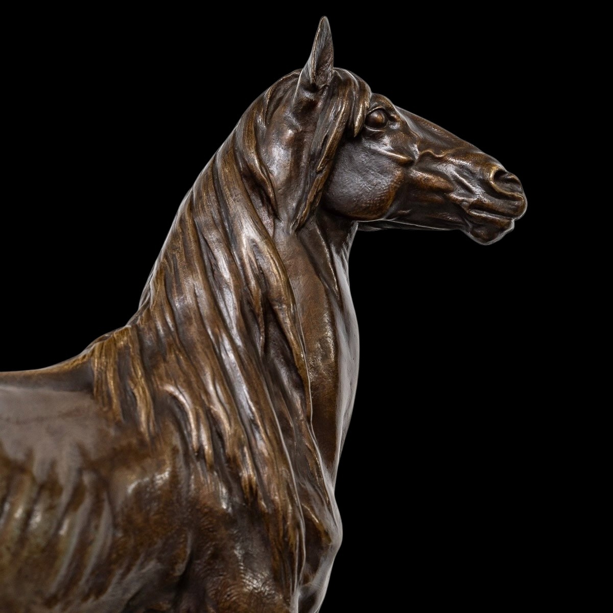 Sculpture  - Cheval "Beaux - arts 1879" , Prosper Lecourtier (1851-1924) - Bronze-photo-2