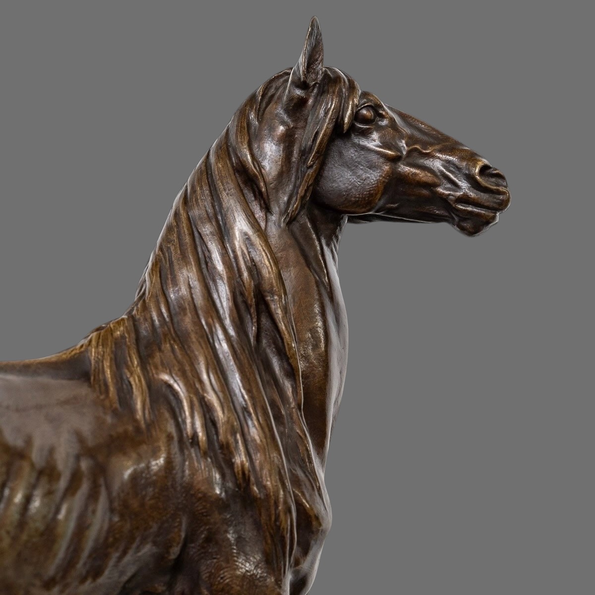 Sculpture  - Cheval "Beaux - arts 1879" , Prosper Lecourtier (1851-1924) - Bronze-photo-2