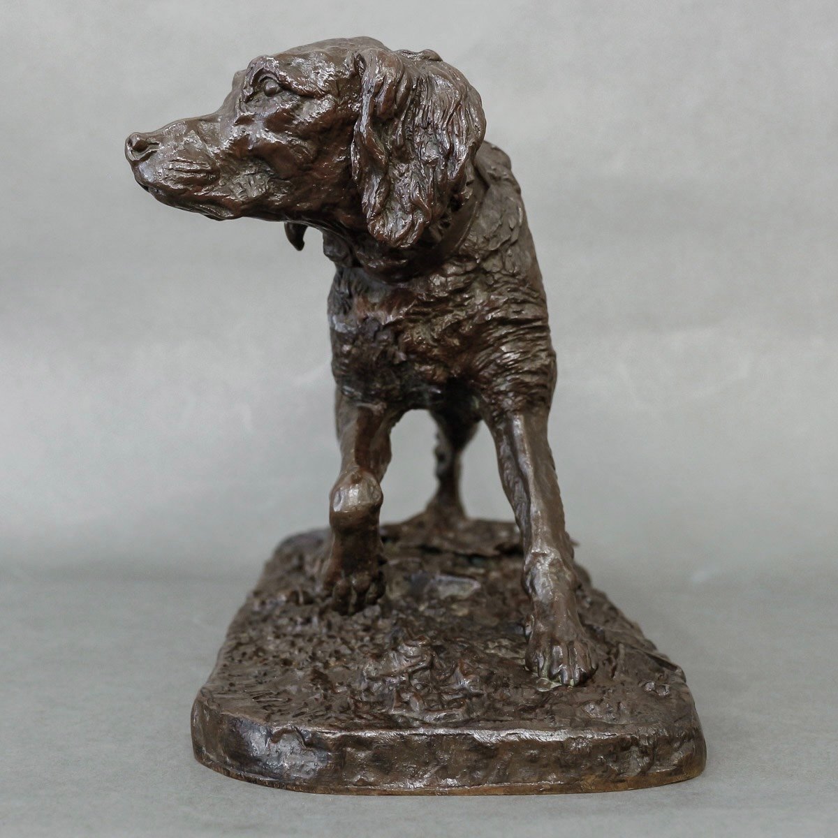 Sculpture - French Spaniel Dog (fabio) No. 1 , Pierre-jules Mêne (1810-1879) - Bronze-photo-3