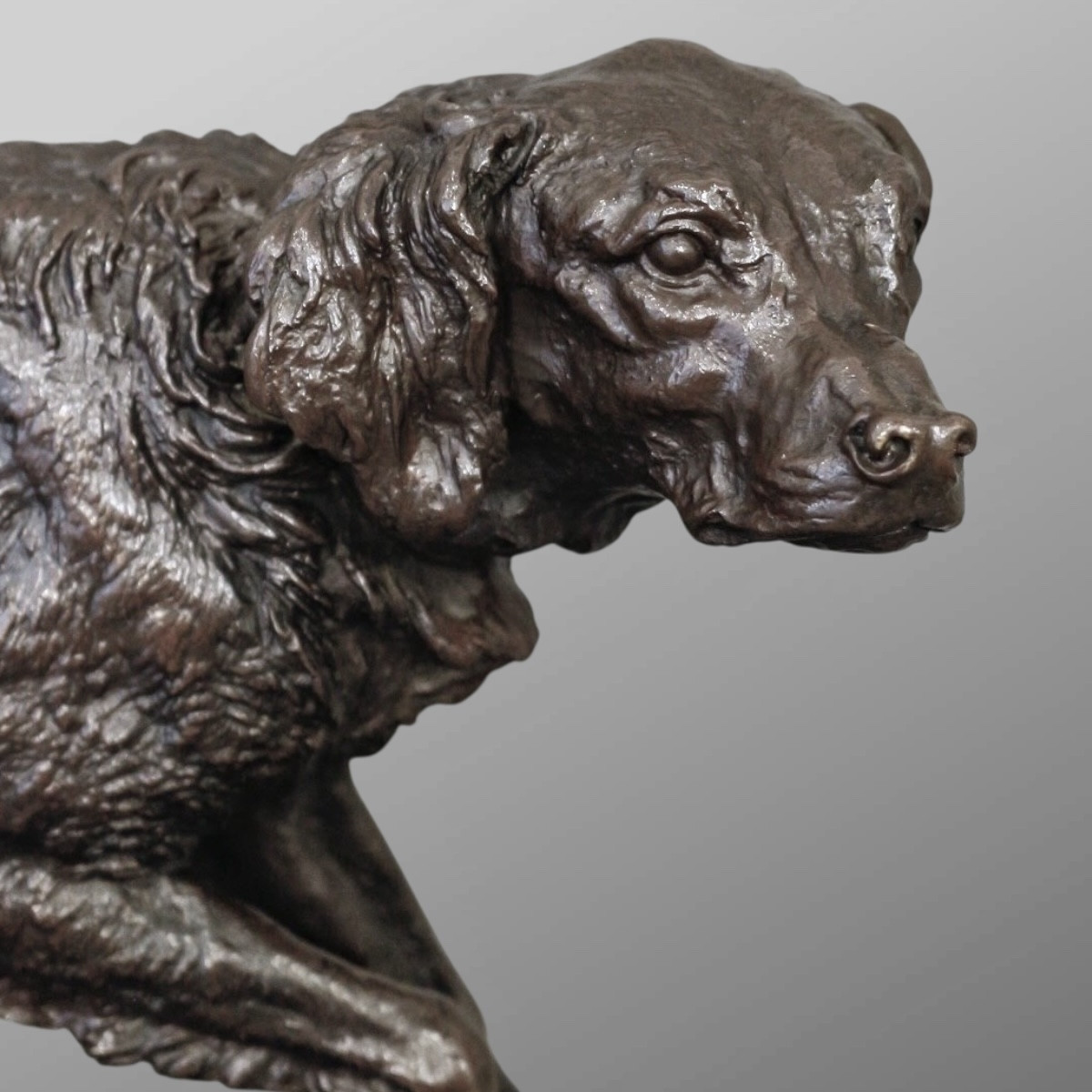 Sculpture - French Spaniel Dog (fabio) No. 1 , Pierre-jules Mêne (1810-1879) - Bronze-photo-3