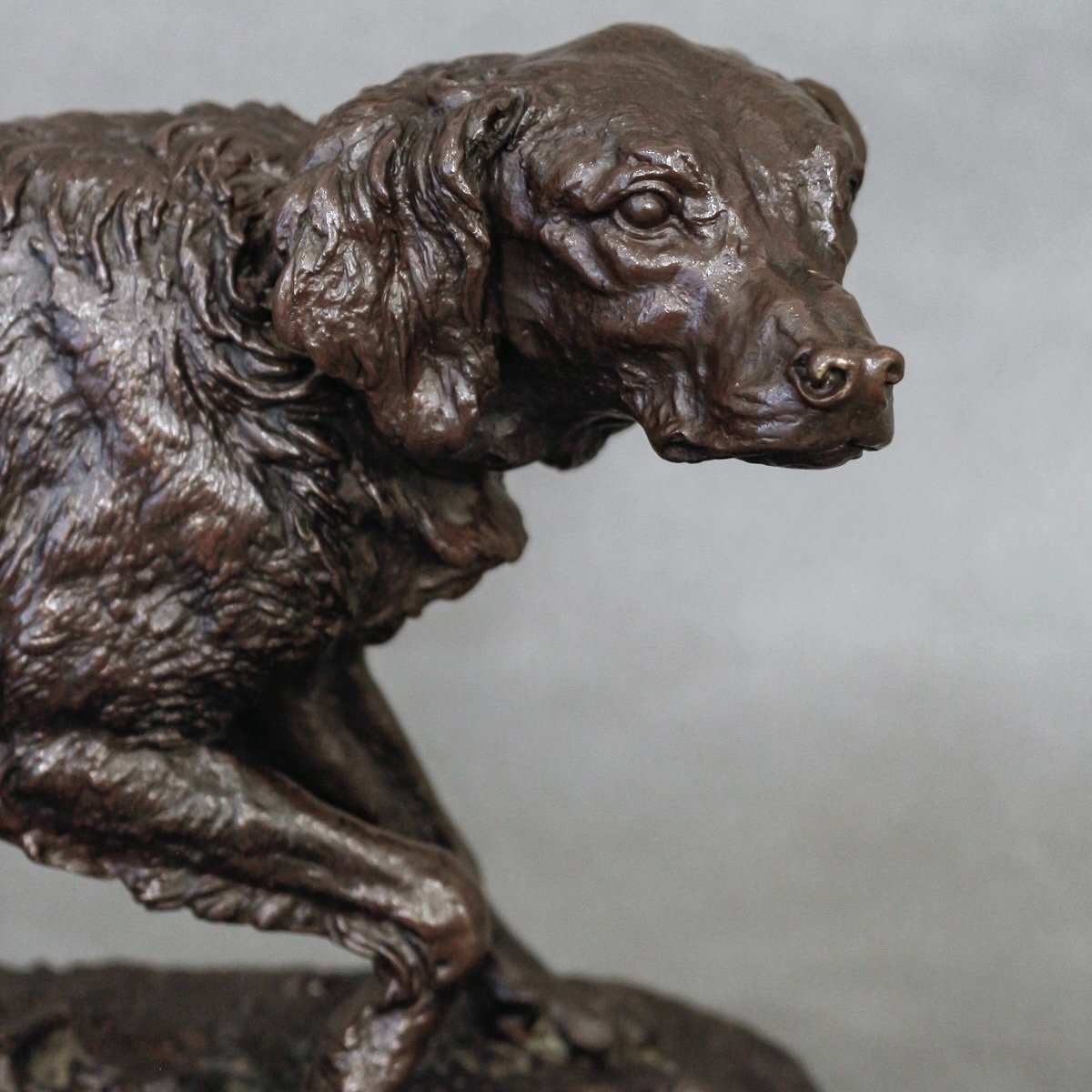 Sculpture - French Spaniel Dog (fabio) No. 1 , Pierre-jules Mêne (1810-1879) - Bronze-photo-1